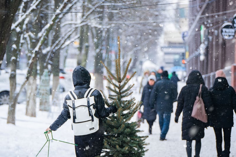Urban Mindful Walks